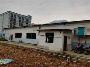 永州市房屋建筑安全檢測鑒定找什么機構 新聞
